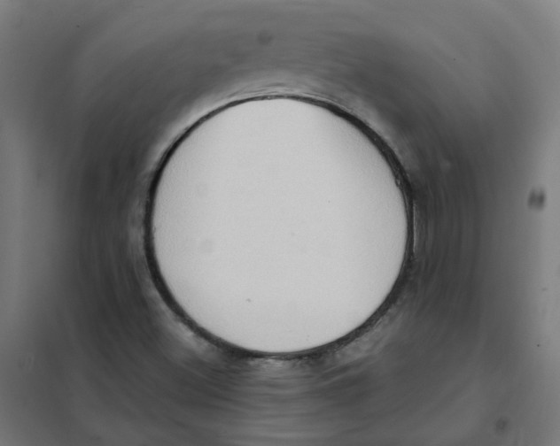 X0000101211500200807251037