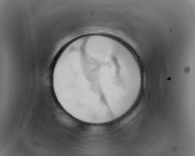 X0000101211501200807251037