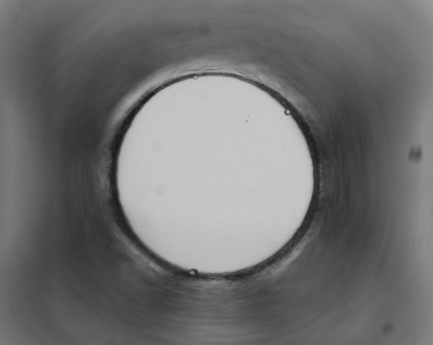 X0000101211502200807251037