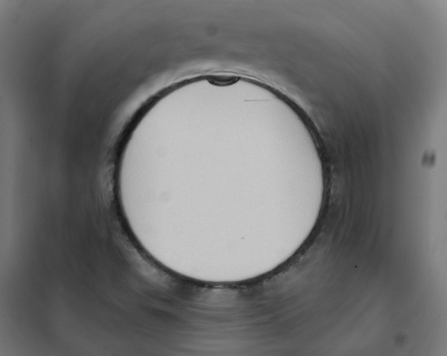 X0000101211503200807251037