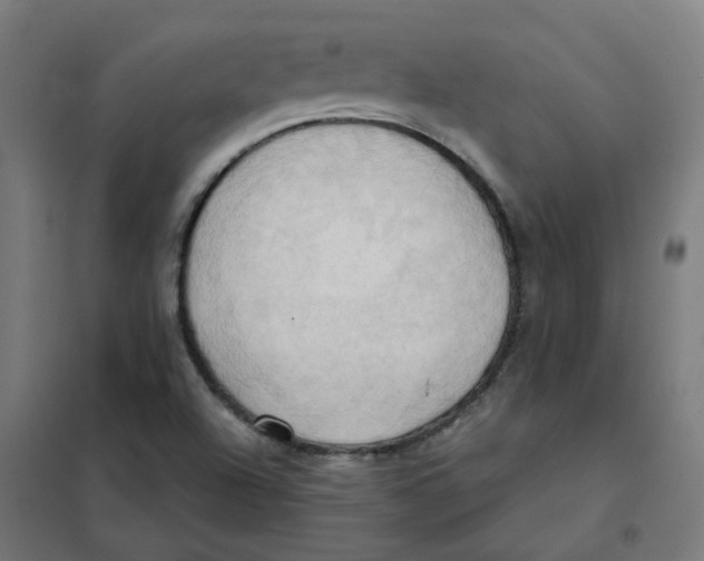 X0000101211504200807251037