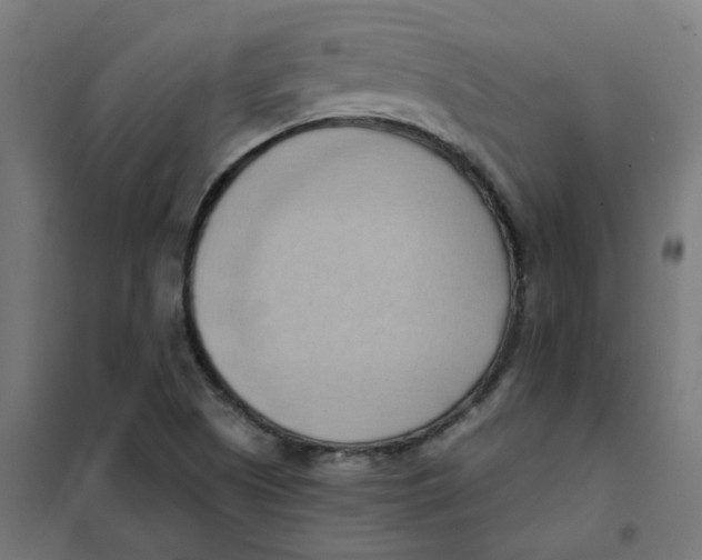 X0000101211505200807251037