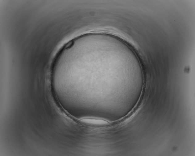 X0000101211506200807251037