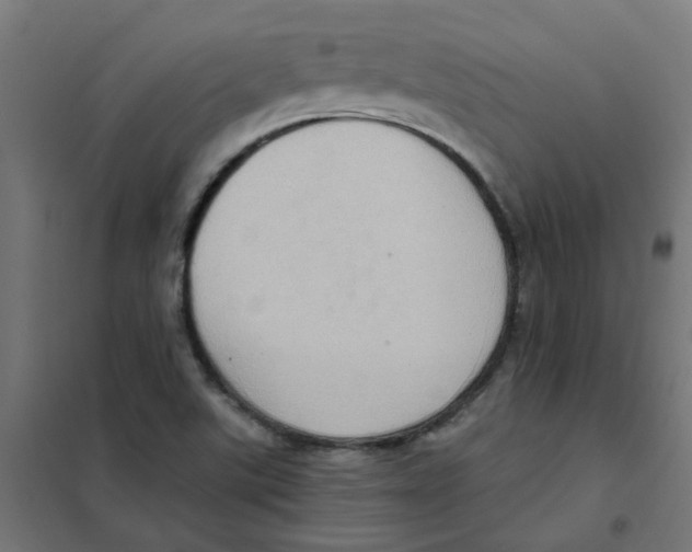 X0000101211507200807251037