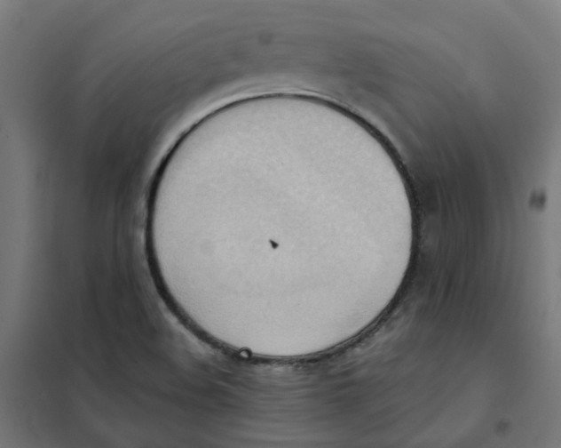 X0000101211508200807251037