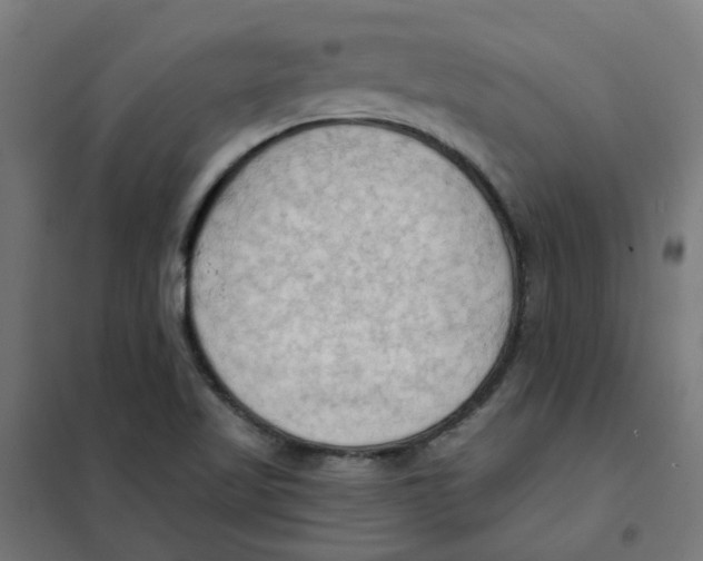 X0000101211509200807251037