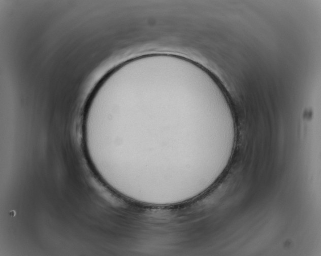 X0000101211511200807251037