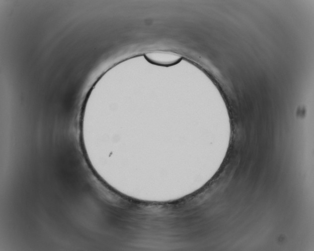 X0000101211512200807251037