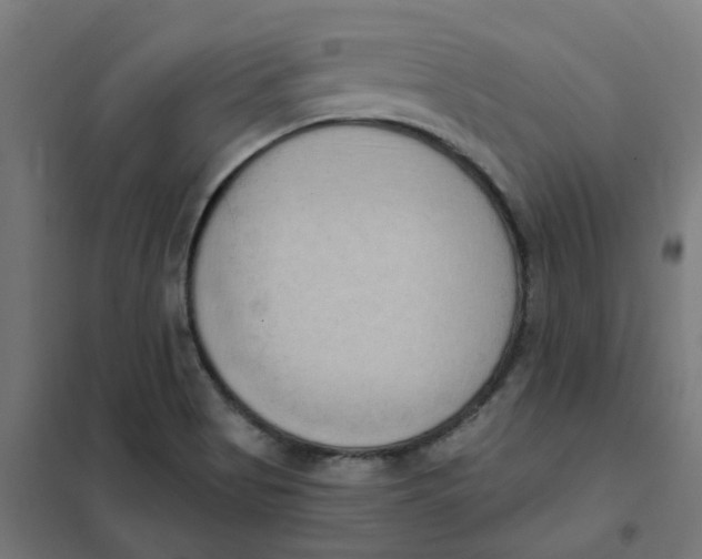 X0000101211513200807251037