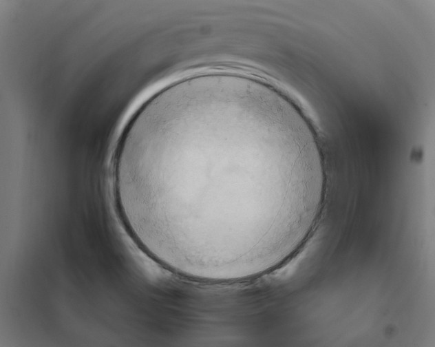 X0000101211514200807251037