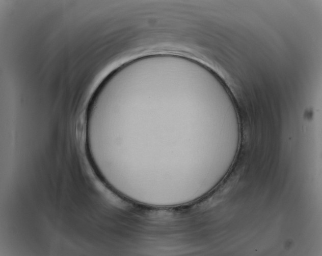 X0000101211515200807251037