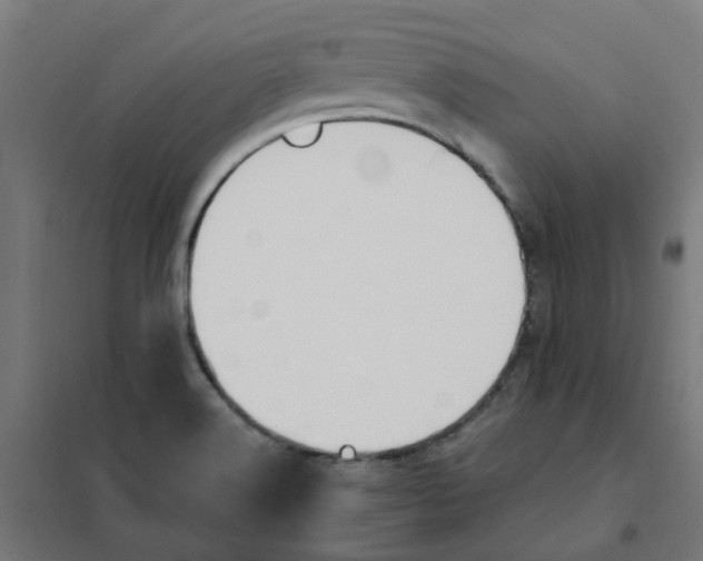 X0000101211516200807251037