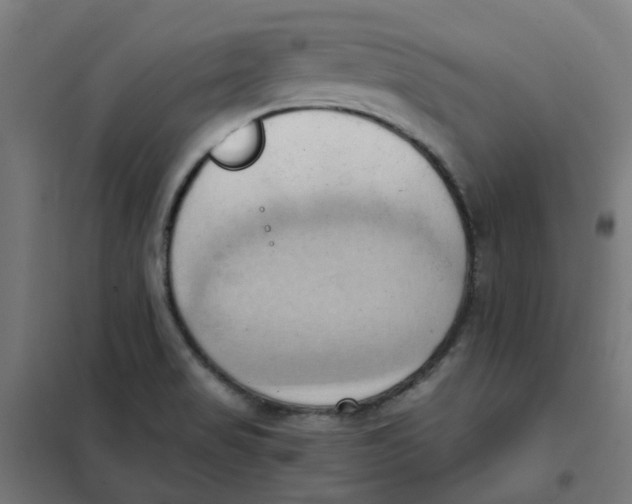 X0000101211517200807251037