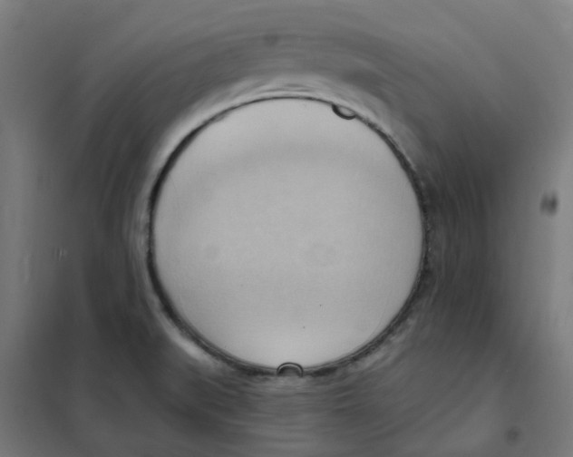 X0000101211519200807251037