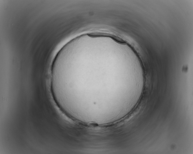 X0000101211520200807251037