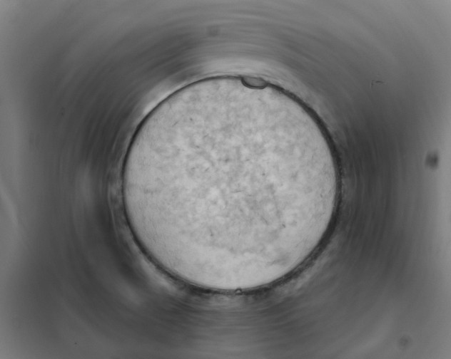 X0000101211521200807251037