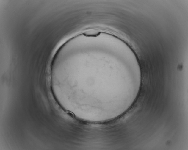 X0000101211522200807251037