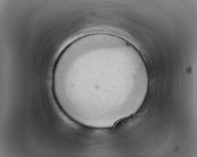 X0000101211523200807251037