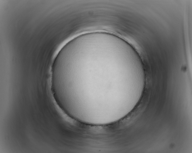 X0000101211524200807251037