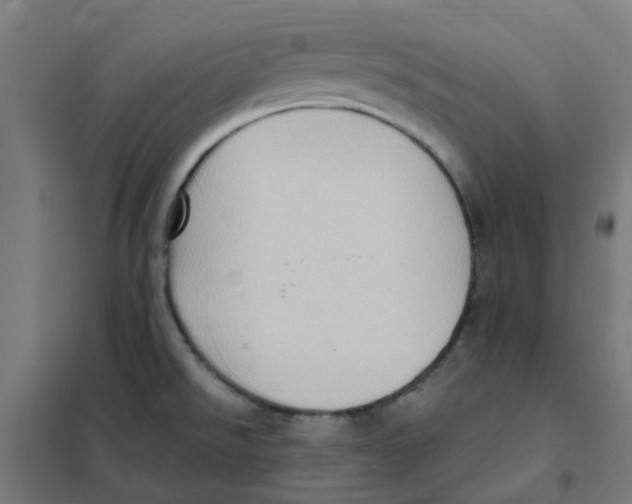 X0000101211526200807251037