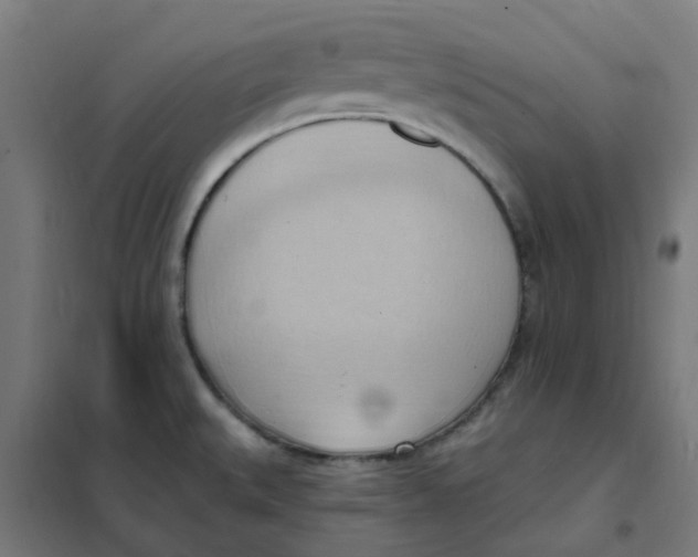 X0000101211527200807251037