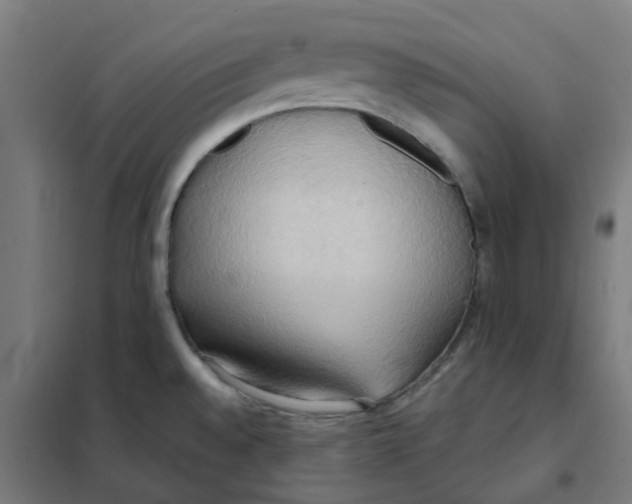 X0000101211528200807251037