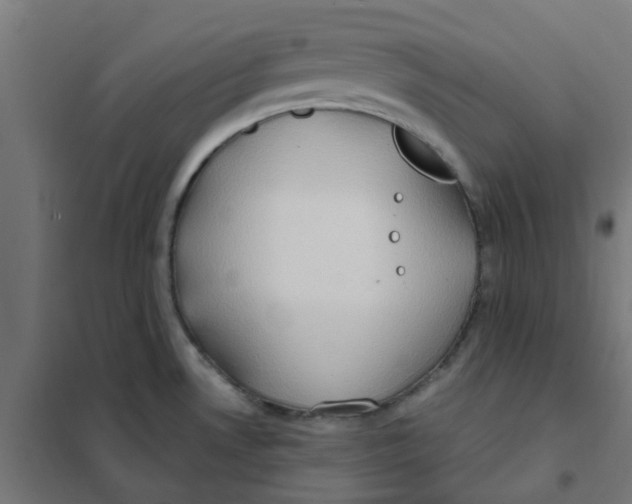 X0000101211530200807251037