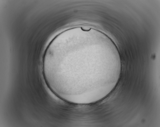 X0000101211531200807251037