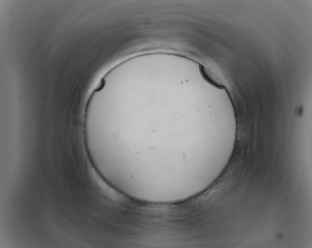 X0000101211532200807251037