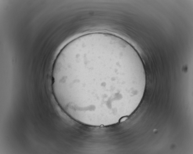 X0000101211534200807251037