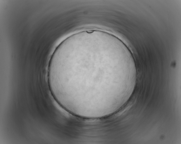 X0000101211535200807251037