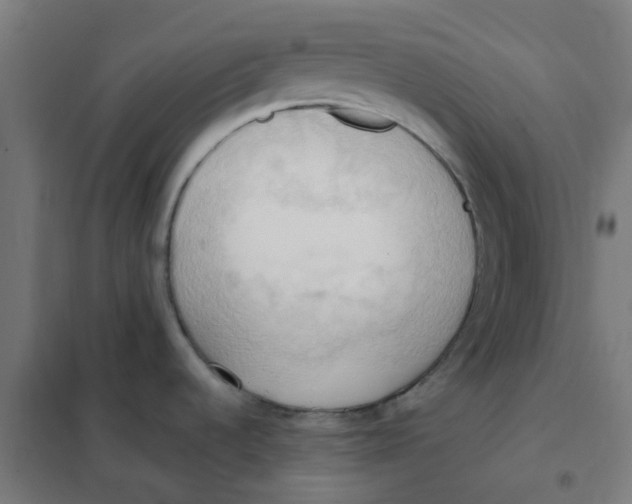 X0000101211536200807251037