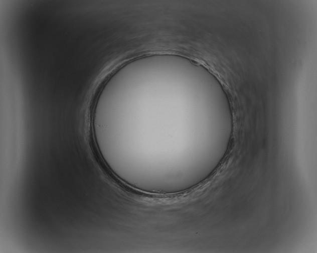 X0000101220005200806270934