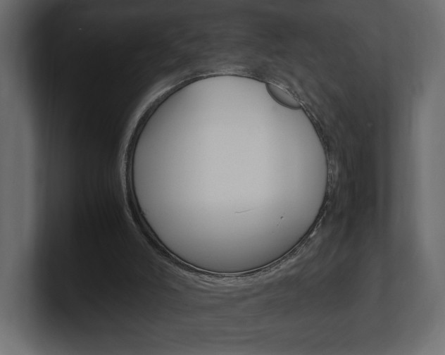 X0000101220006200806270934