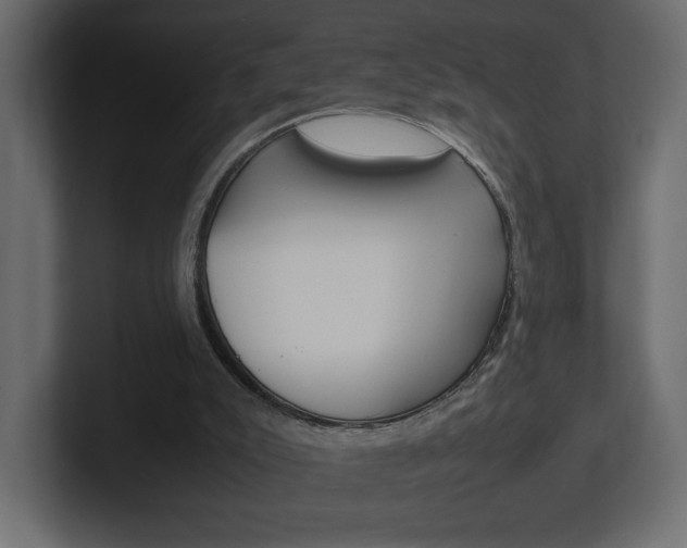 X0000101220007200806270934