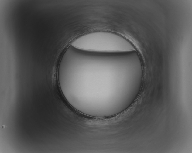 X0000101220009200806270934