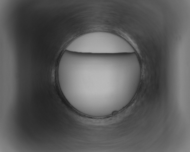 X0000101220010200806270934