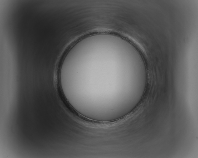 X0000101220015200806270934