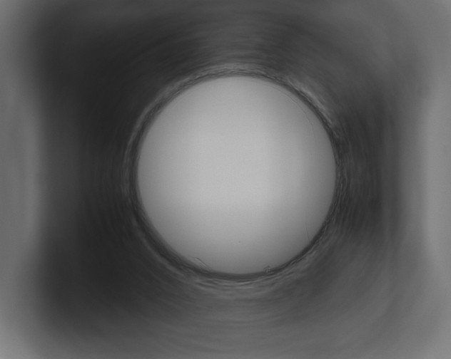 X0000101220016200806270934