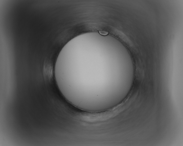 X0000101220021200806270934