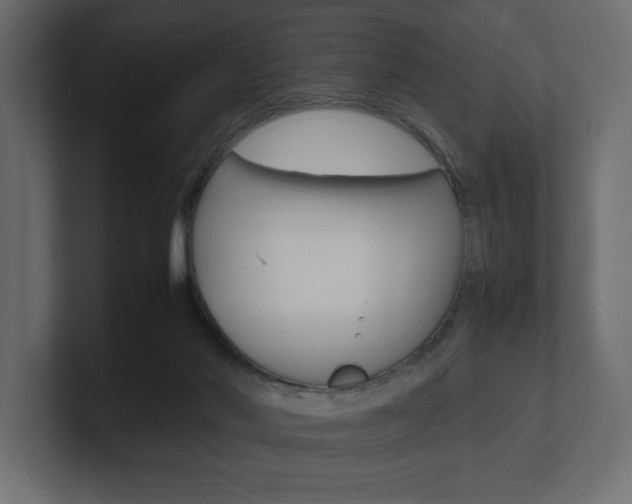 X0000101220022200806270934