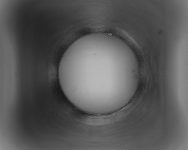 X0000101220025200806270934