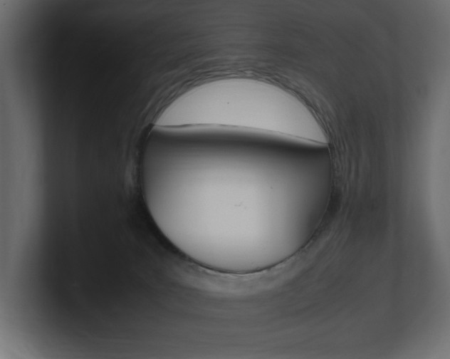X0000101220035200806270934