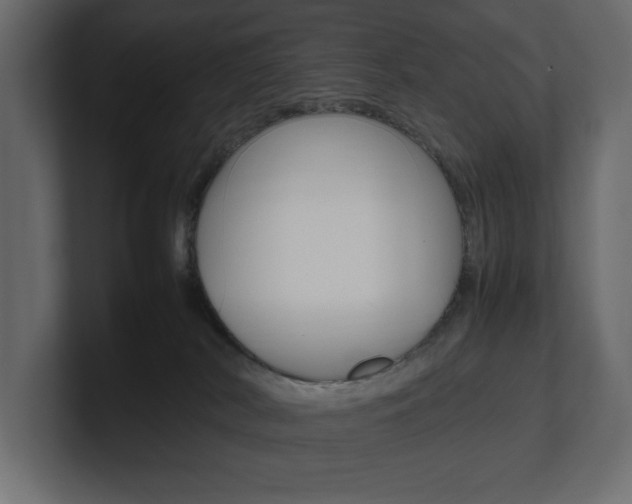 X0000101220038200806270934