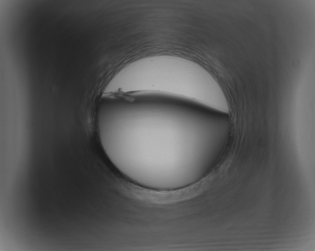X0000101220039200806270934