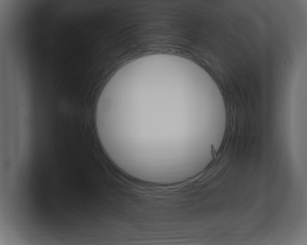 X0000101220040200806270934