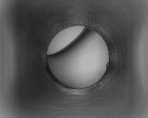 X0000101220044200806270934