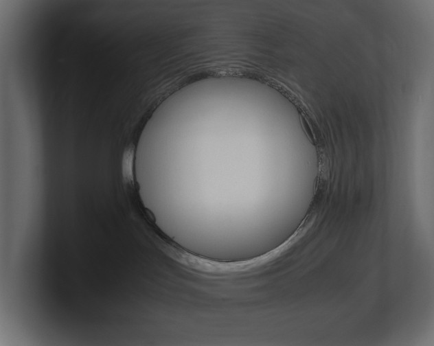 X0000101220047200806270933