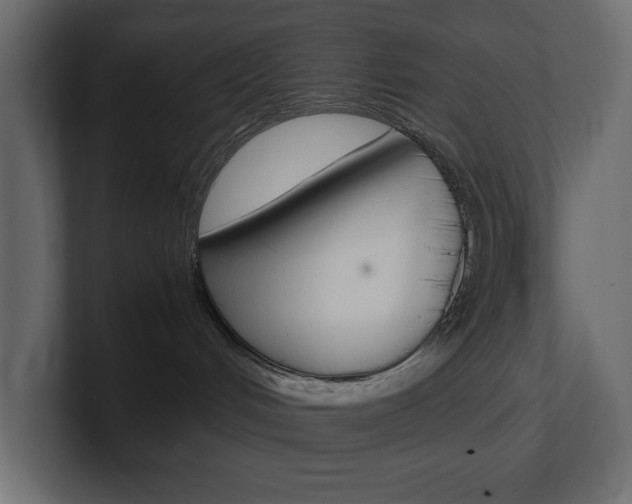 X0000101220048200806270933