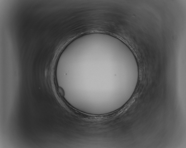 X0000101220049200806270933